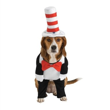 A Dog Wearing A Cat In The Hat Costume