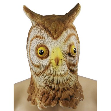 An Owl Mask