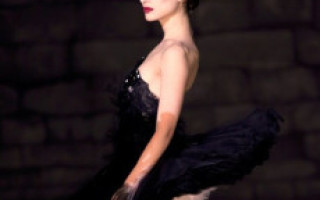 Black Swan Costumes