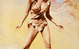 Cavewoman Costumes