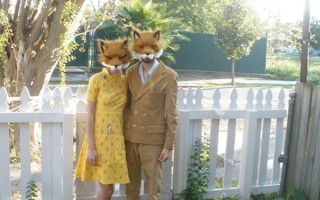 Fox Costumes