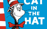 Cat In The Hat Costumes