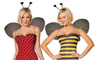 Ladybug Costumes