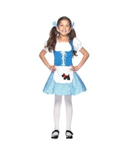 A Cute Dorothy Costume