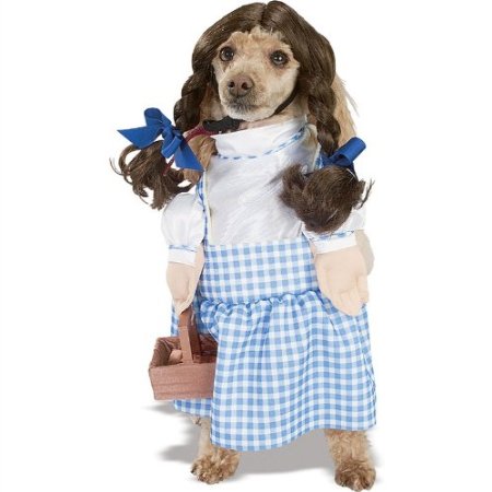 Dorothy Costume For Dogs