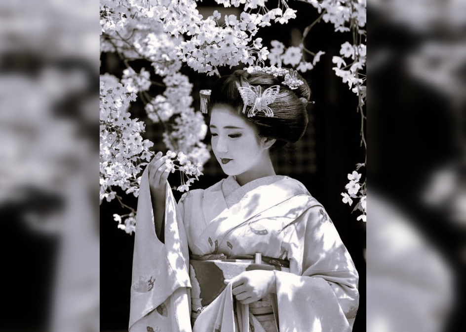 Amazing Facts About Geisha and Their Beautiful Photos