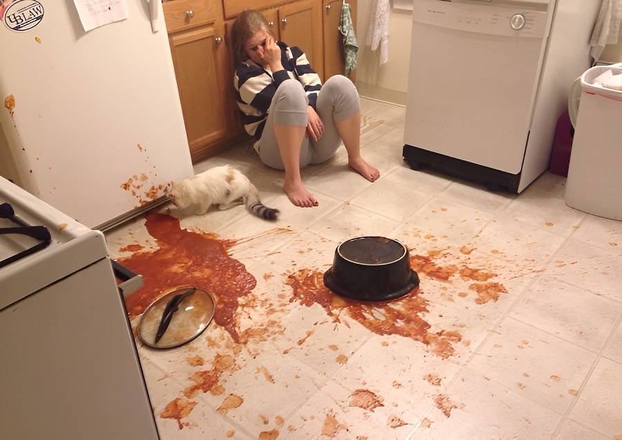 Hilarious Kitchen Disasters: When Meals Become Memes