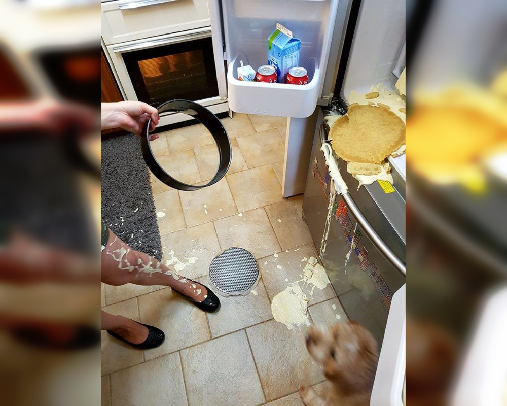 Hilarious Kitchen Disasters: When Meals Become Memes